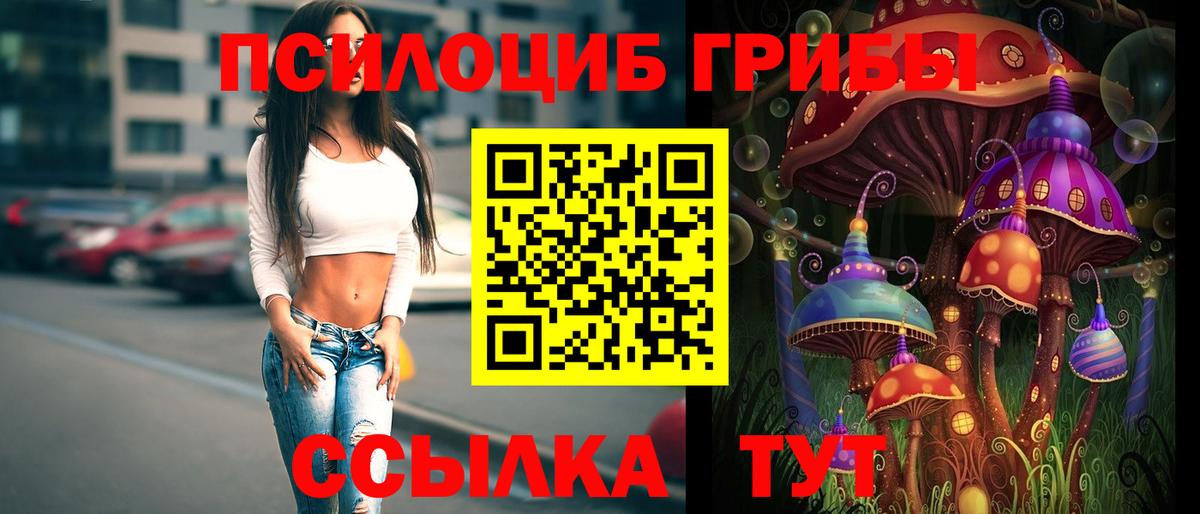Ангарск  Галлюциногенные грибы Magic Shrooms  Вход с VPN 